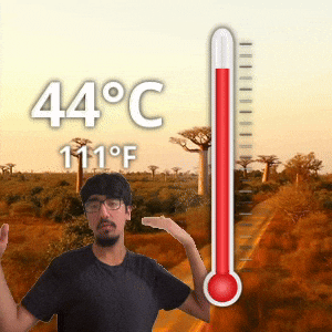 44 °C