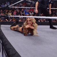 Wwe Flirt GIF