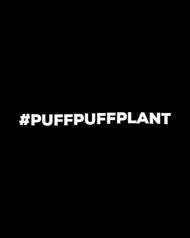 TreeRolls nature cbd trees hemp GIF