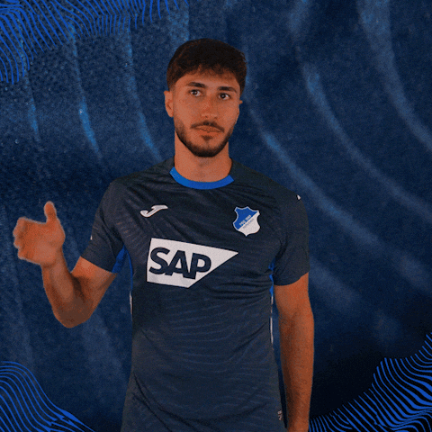 Sport Bundesliga GIF by TSG Hoffenheim