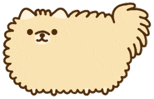 Dog Pomeranian Sticker