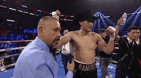 toprank giphyupload fight boxing espn GIF