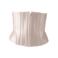 Corset Sticker by alyoinc