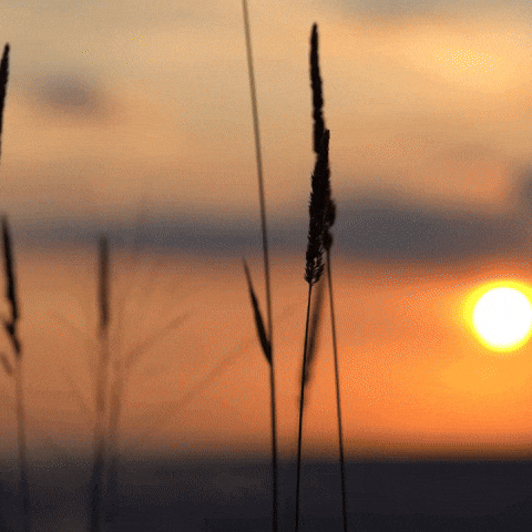 Inspired Bible Study GIF