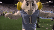 Hammer Down University Of North Carolina GIF by UNC Tar Heels