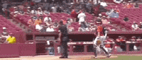 World Series Baseball GIF by NCAA Championships