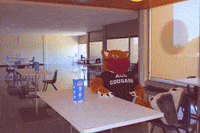 College Mascot GIF by Assiniboine