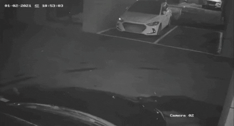 jseinyyi giphyupload GIF