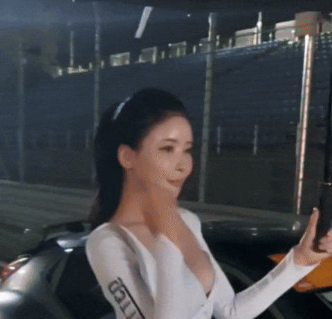 Model GIF