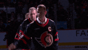 Waving National Hockey League GIF by NHL