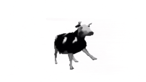 Polish Dancing Cow GIF