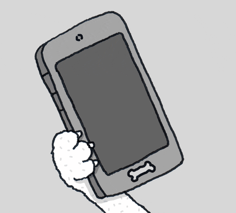 I Love You Texting GIF by Chippy the Dog