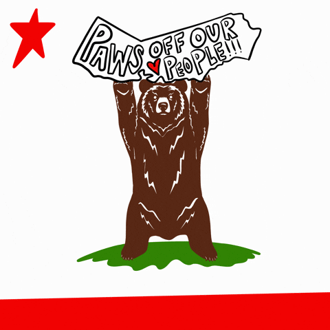 Brown Bear California GIF by Jack0_o