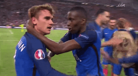 euro 2016 GIF by Sporza
