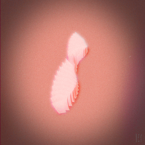 3d computer GIF by Nadrient