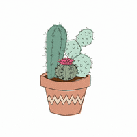 tinapoedinkova цветы цветок листья кактус GIF