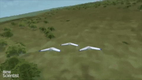 separate paths GIF