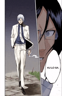 Bleach GIF