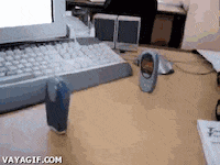 war GIF