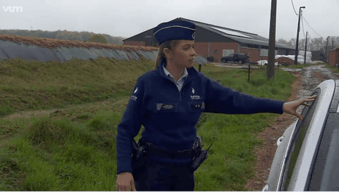 de buurtpolitie GIF by VTM.be