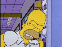 homer simpson episode 6 GIF