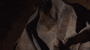 Mystery Road GIF by ABC Indigenous