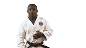 Martial Arts Fun Sticker by Paris Saint-Germain Judo