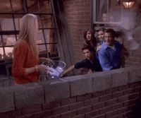 Fail Lisa Kudrow GIF by Friends