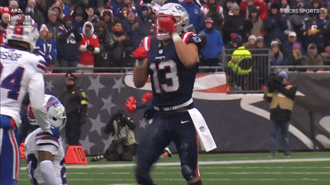 Mack Hollins Football GIF by New England Patriots