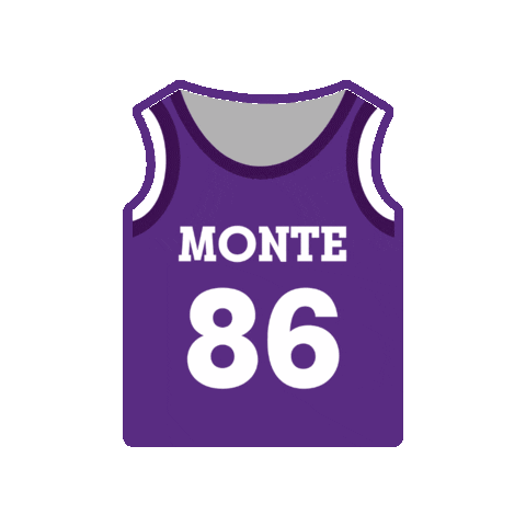 Basketball Nu Sticker by Niagara University