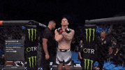 Mixed Martial Arts Sport GIF by UFC