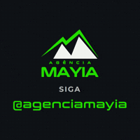 Seguir Marketing Digital GIF by Agência Mayia