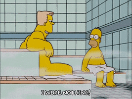 homer simpson rainer GIF