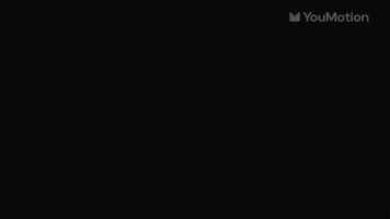 Cartoon Cats Animations