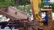 Living Extreme Makeover GIF by MolaTV