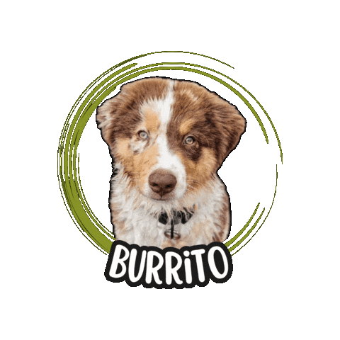Burrito Sticker by Asilo per cani Dog'sMind