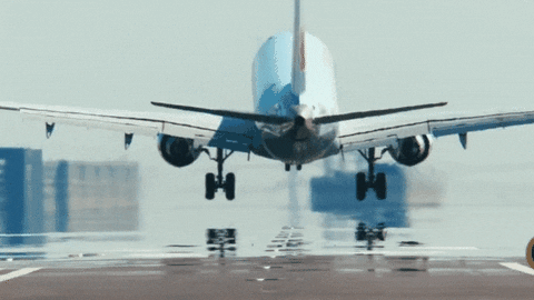 dustuncan giphyupload GIF