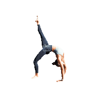 Champsocial Sticker by eTONE Fitness