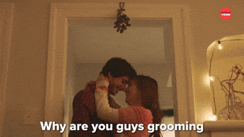 Cat Questions: Christmas