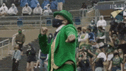 Notre Dame Ireland GIF by Notre Dame Fighting Irish