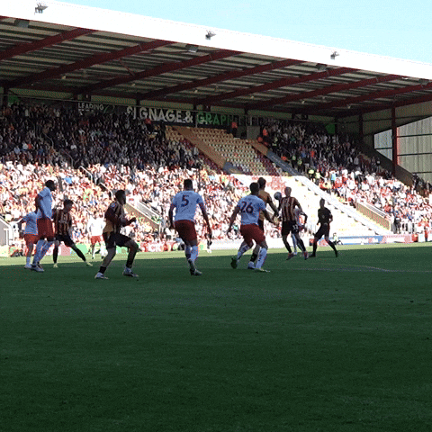 Football Celebration GIF by Bradford City AFC