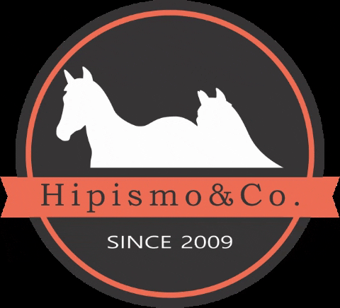 JotaDesign giphygifmaker cavalos hipismo hipismoeco GIF