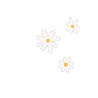 Stars Flowers Sticker
