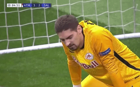 Champions League Football GIF by UEFA