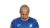 Hoffenheim Sticker by Bundesliga