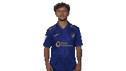 Cant Hear You Tsg Hoffenheim Sticker by Bundesliga