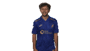 Tsg Hoffenheim Vbl Sticker by Bundesliga