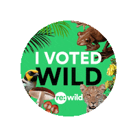 Vote Early Sticker by Re:wild
