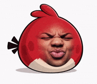 Angry Birds Bird GIF