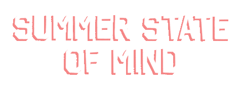 Drink Cheers Sticker by Summer Water